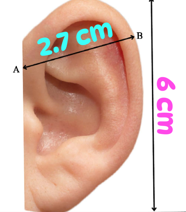 BUTTERFLY EAR CUFF